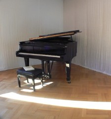 Unterrichts- und Konzertflügel Steinway