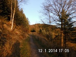 Angrenzend der Wald